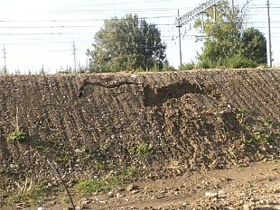 b008061420-la-discarica-di-via-piemonte-torna-a-preoccupare-i-cittadini