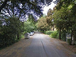 b310282230-cascine-la-polizia-a-cavallo-arresta-due-varani-abbandonati