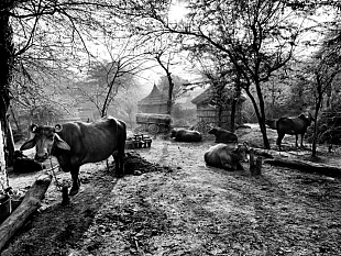 b206291846-san-giovanni-valdarno-dall-11-al-19-luglio-appunti-di-viaggio-in-india