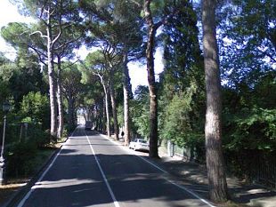 b008261944-salvi-i-pini-di-viale-torricelli