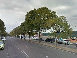 b401241617-fiorentina-contro-atalanta-ed-udinese-in-contemporanea-ginnastica-e-renato-zero