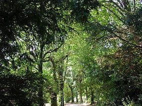 nasce-il-parco-del-mensola