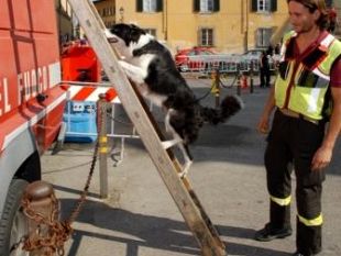 a909291056-pisa-concluse-le-giornate-della-protezione-civile