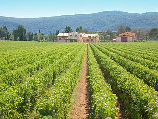 piano-paesaggistico-forza-italia-rossi-ammetta-lerrore-e-lo-ritiri