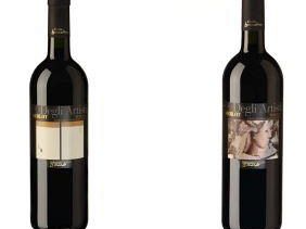 a809221325-vigna-degli-artisti-al-via-la-quinta-edizione-del-concorso