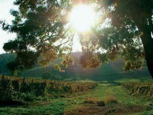 a912052034-vignaioli-e-vignerons-a-montecatini-la-giornata-inaugurale