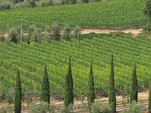 pit-giunta-regionale-incontera-il-mondo-agricolo