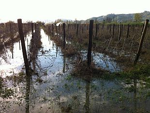 sulla-toscana-88-eventi-estremi-da-inizio-2023