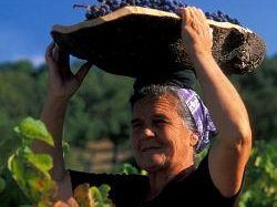 a707122051-sapori-del-mediterraneo-a-vaiano