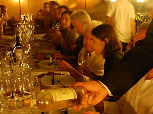 b208241346-festambiente-ecco-i-migliori-vini-ed-olio-bio-d-italia