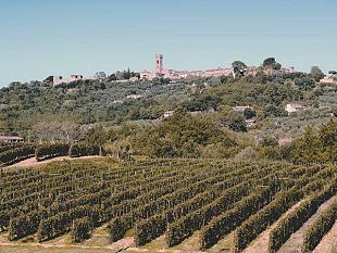 carlo-cassola-ieri-e-oggi-una-storia-da-oscar