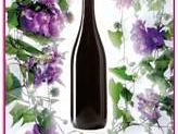 b007171229-vinoingiardino-il-gotha-dei-vini-italiani-per-tre-giorni-a-villa-bardini