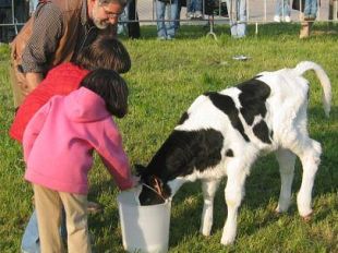 a810092152-fattoria-in-citta-festa-con-gli-animali-dell-aia-alla-coop-agr-legnaia
