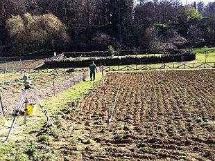 b209041349-estate-shock-per-l-agricoltura-toscana-cali-di-produzione-medi-del-30