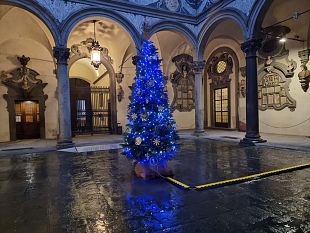 firenze-acceso-lalbero-di-natale