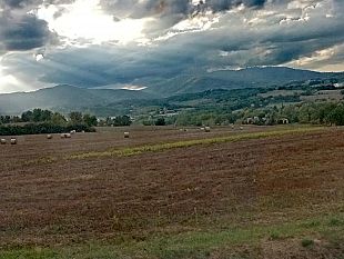 salvate-quattro-antiche-varieta-di-ortaggi-toscani