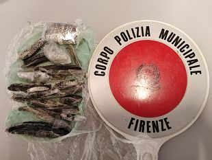 il-cane-piper-ancora-in-azione-recuperato-oltre-mezzetto-di-hashish