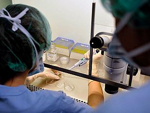 coronavirus-101-nuovi-casi-su-7541-tamponi