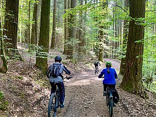 millumino-di-meno-limpegno-di-firenze-per-il-risparmio-energetico