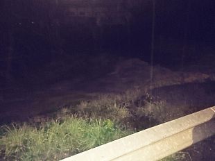 galluzzo-ore-315-della-notte-lema-fa-la-voce-grossa