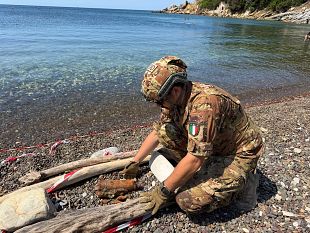 bomba-di-guerra-su-spiaggia
