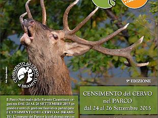 ungulati-remaschi-e-unemergenza-ora-la-legge-per-affrontarla-con-efficacia