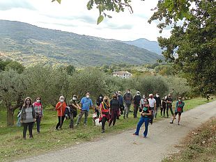 camminata-tra-gli-olivi-le-foto