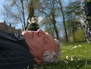 lalfabeto-di-peter-greenaway