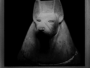 non-ci-e-dato-sapere-niente