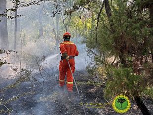incendi-molta-apprensione-nel-chianti-fiorentino