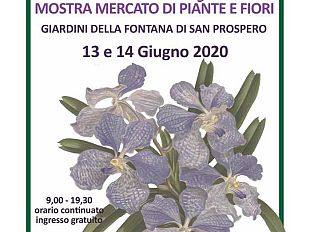 la-mostra-mercato-dei-fiori-sbarca-a-siena