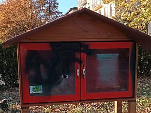calenzano-la-casetta-dei-libri-vandalizzata-con-un-fumogeno