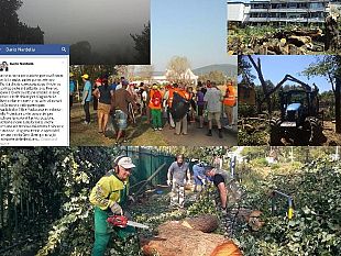 tempesta-a-firenze-il-downburst-danni-e-polemiche