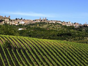 il-futuro-del-turismo-post-covid-19