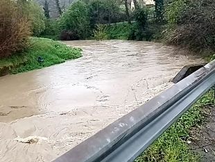 dopo-la-pioggia-il-vento-maltempo-a-firenze