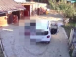 aggressioni-e-furti-in-collina-e-allarme-a-scandicci