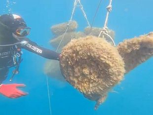 mare-e-plastica-14-tonnellate-di-rifiuti-recuperati