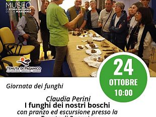 mostra-di-funghi-e-frutti-selvatici-al-parterre