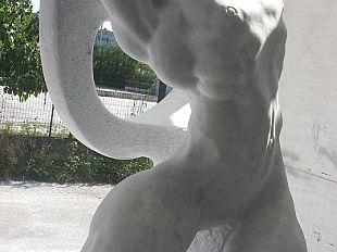 b309041453-una-statua-in-onore-di-franco-ballerini-campione-ed-ex-ct-azzurro