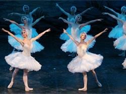 a712111415-politeama-poggibonsi-il-lago-dei-cigni-del-balletto-di-mosca-giovedi-13-dicembre-2007