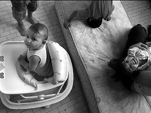 b001081106-riportare-la-verita-sul-luzzi