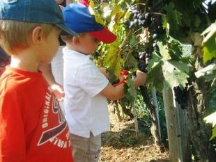 a909181730-torna-l-aia-di-legnaia-in-festa