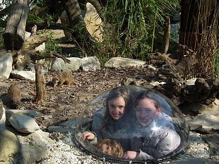 b303162252-arriva-la-primavera-al-giardino-zoologico-di-pistoia
