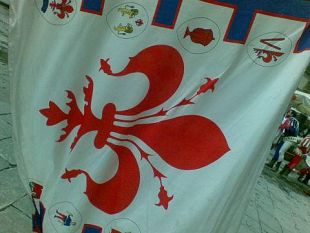 sbandieratori-trofeo-marzocco-a-firenze