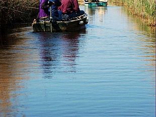 b202292156-birdwatching-all-oasi-lipu-di-massaciuccoli
