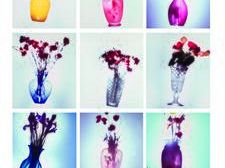 b209301623-massimo-barzagli-grandezza-naturale