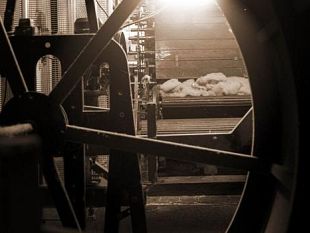 b011041538-la-storia-delle-eccellenze-toscane-in-un-clic