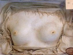 a601191436-il-segreto-dei-corpi-i-reperti-di-girolamo-segato