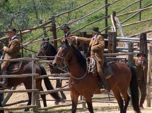 a809081424-dalla-doma-equestre-dei-vitelli-alla-vendemmia-dei-bambini-l-aia-di-legnaia-in-festa-da-sabato-13-settembre