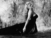 a602161346-american-students-life-in-florence-italian-cinema-in-17-restored-films-at-the-stensen-cinema-br-an-exclusive-review-dedicated-to-subtitled-in-english-movies